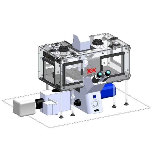 Spinning Disk Confocal-01.JPG